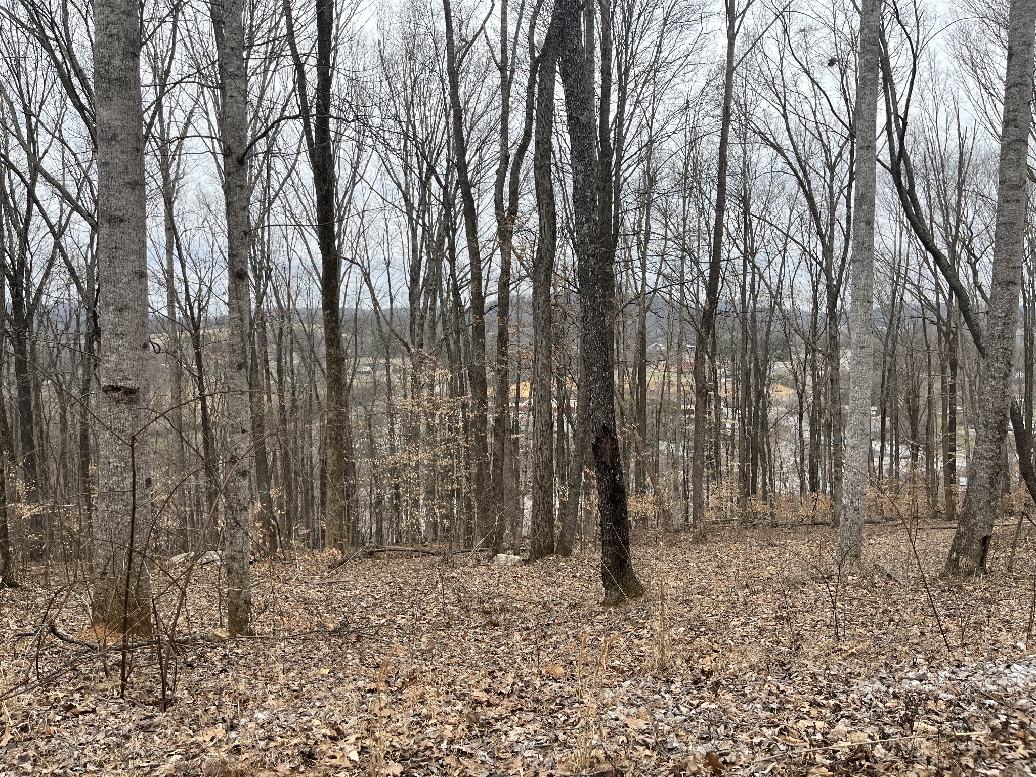 147 Chestnut Hill Road Livingston, TN 38570 - Photo 5 of 5