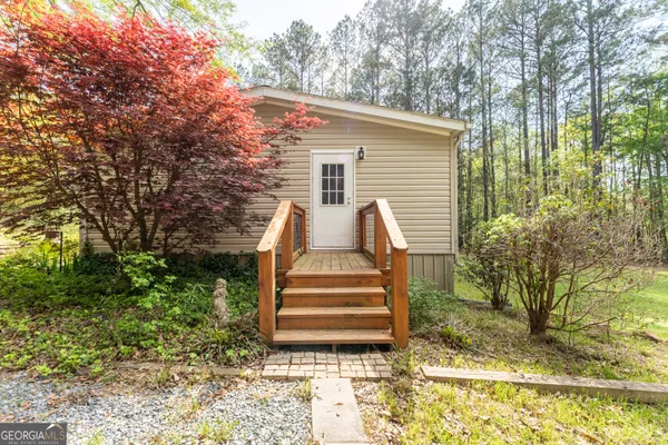 a view of a yard with plants and a large tree