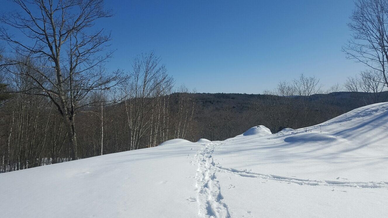 0 Daye Road Bethel, ME 04217 - Photo 41 of 44 Snowshoeing up