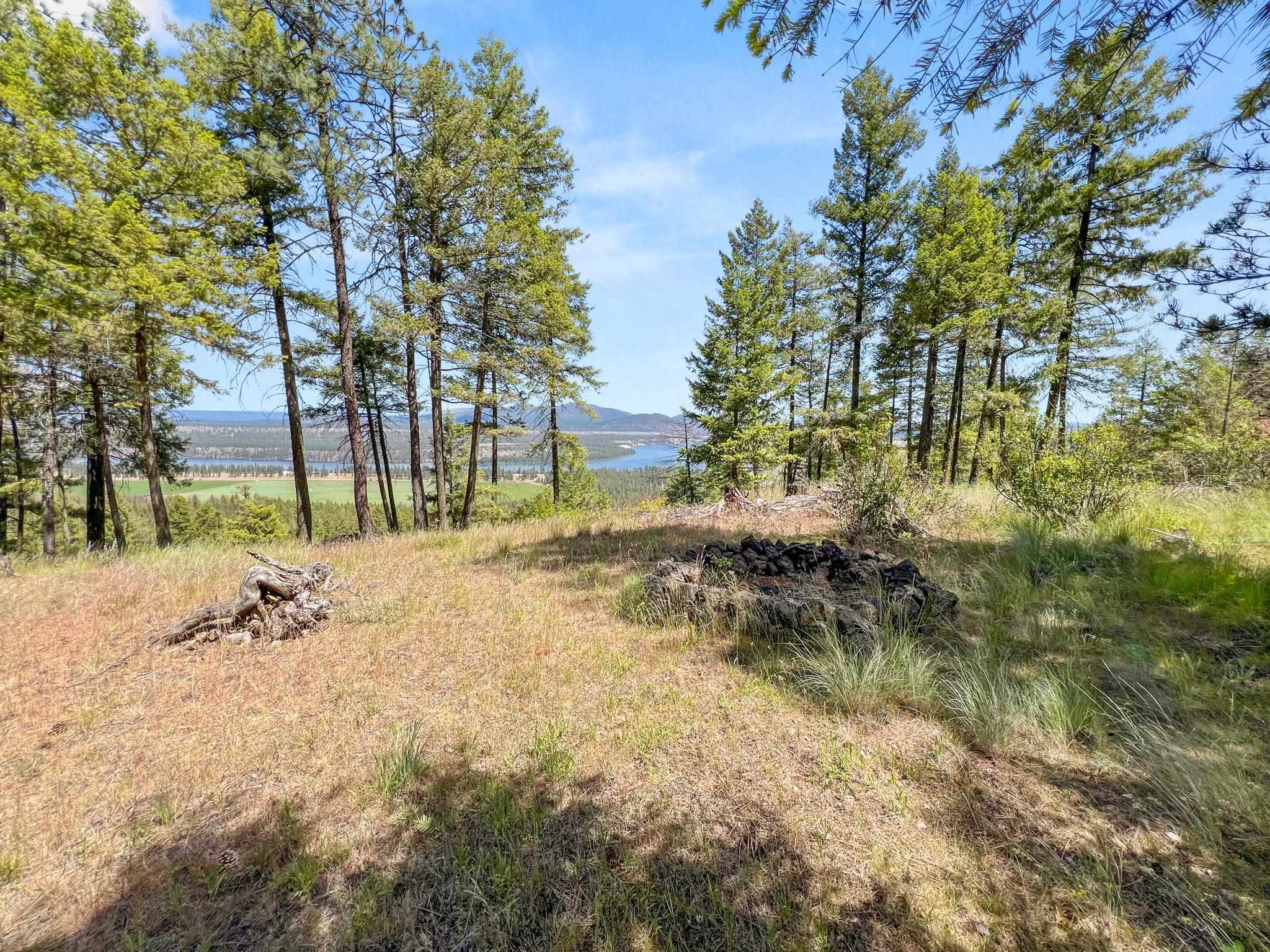 0 West Highland Road Ford, WA 99013 - Photo 24 of 41
