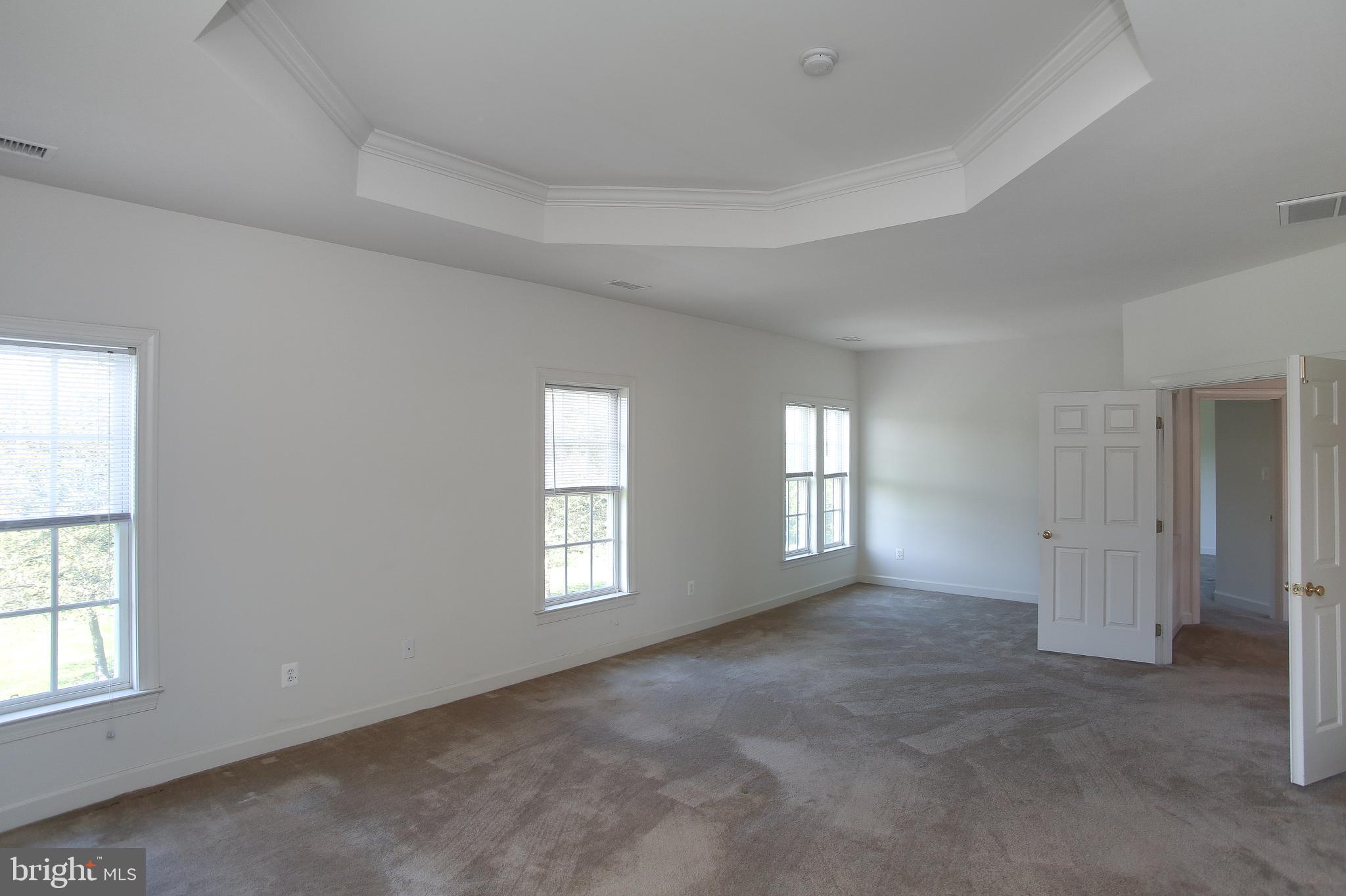 239 Barnhill Road Perkasie, PA 18944 - Photo 19 of 38 Tray Ceiling
