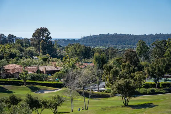 a view of a garden