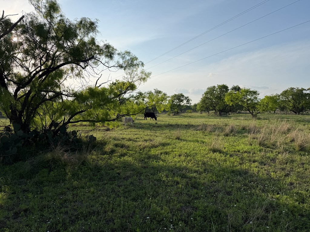 406 Airport Road Mason, TX 76856 - Photo 11 of 11 Gallery Image 11