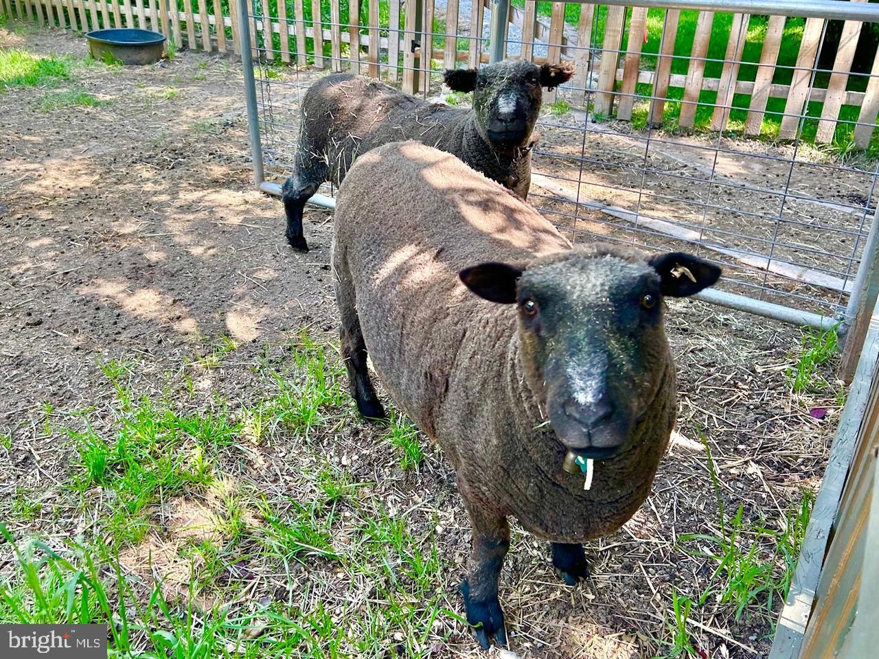9087 Highland Street Mauricetown, NJ 08329 - Photo 43 of 48 a view of balcony with wooden floor