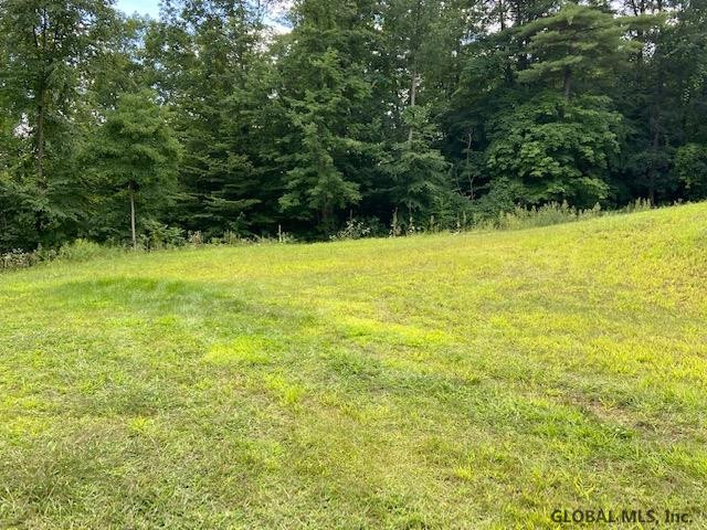 111 Burquist Road Fort Ann, NY 12827 - Photo 37 of 40 Photo 43