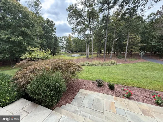 a view of a garden with a bench