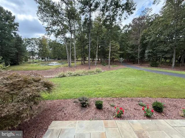 a view of a backyard with a garden