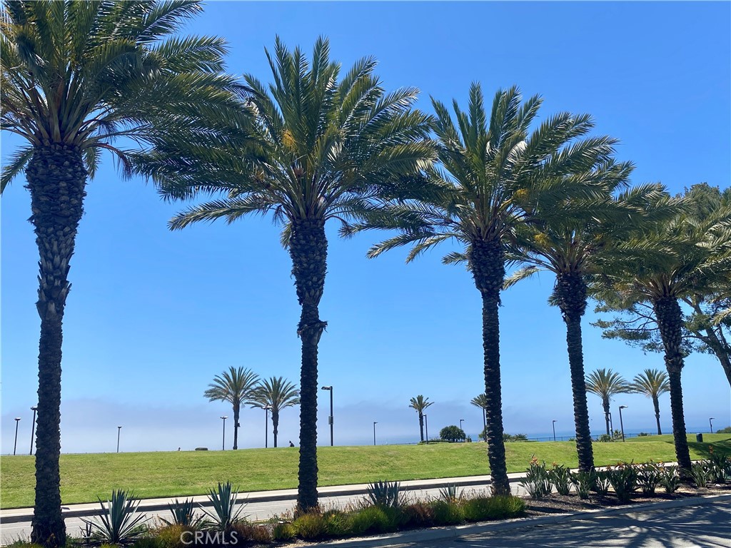 Views from the front of the home
