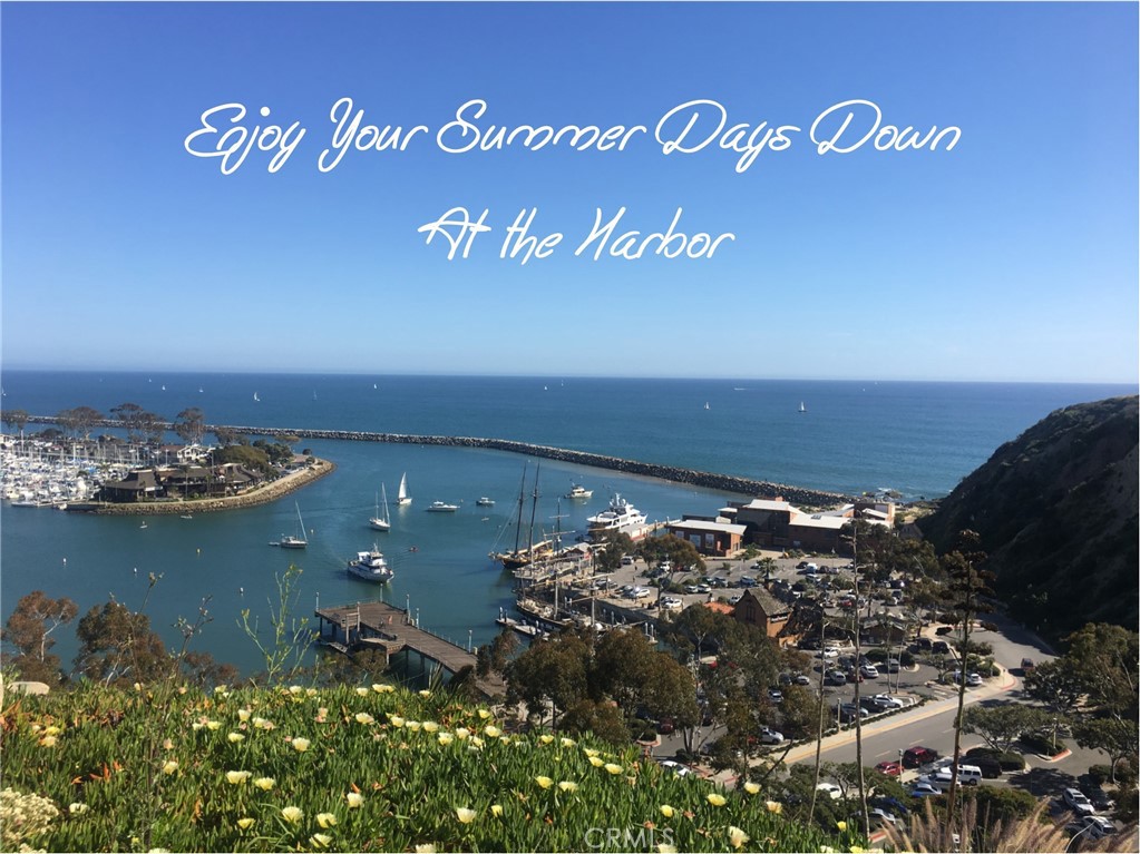 34132 Selva Road, Unit 250 Dana Point, CA 92629 - Photo 24 of 25 a view of a