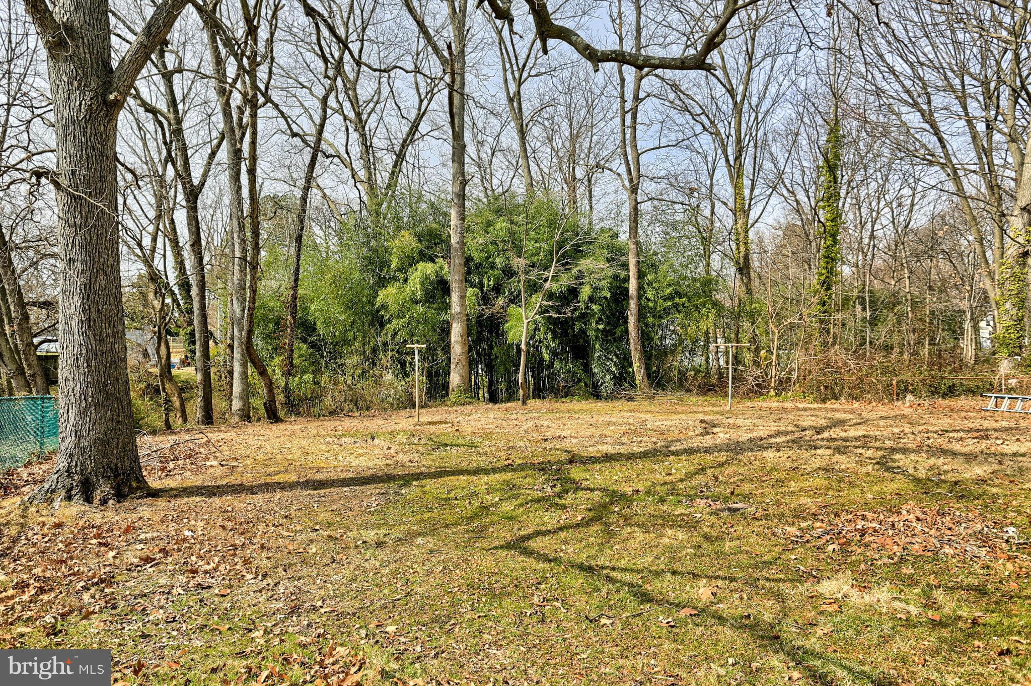 220 W Road Baltimore, MD 21221 - Photo 30 of 30 a view of a yard with trees