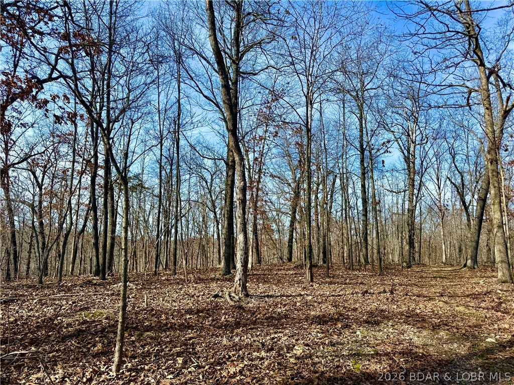 0 Red Fox Road Climax Springs, MO 65324 - Photo 6 of 36
