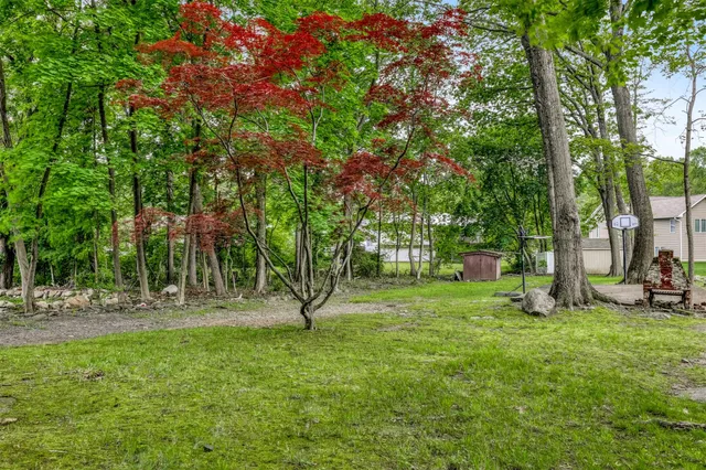 a view of a tree in a park