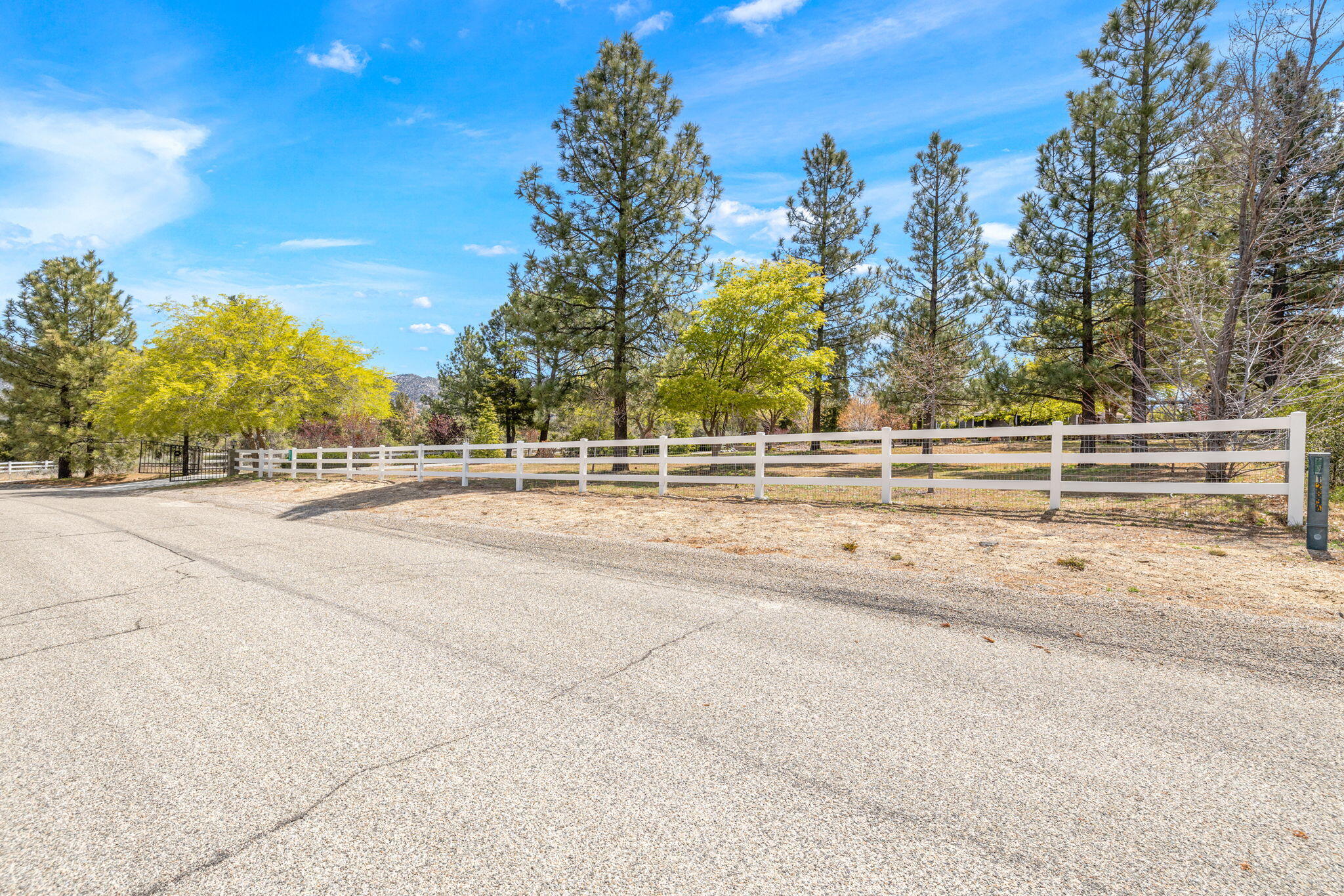 60206 Devils Ladder Road Mountain Center, CA 92561 - Photo 108 of 115 31-web-or-mls-2H8A8426