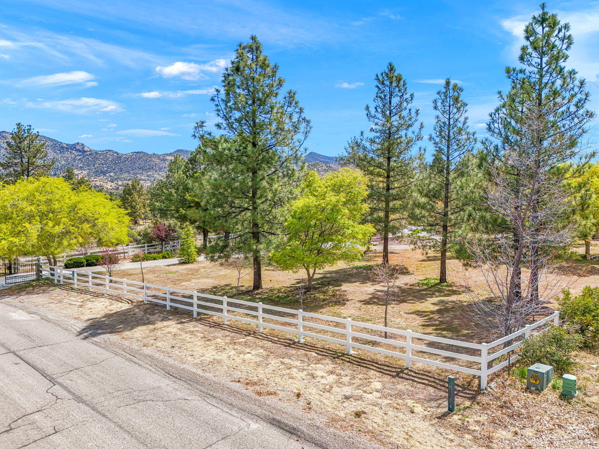 60206 Devils Ladder Road Mountain Center, CA 92561 - Photo 111 of 115 10-web-or-mls-DJI_20250429105935_0127_D