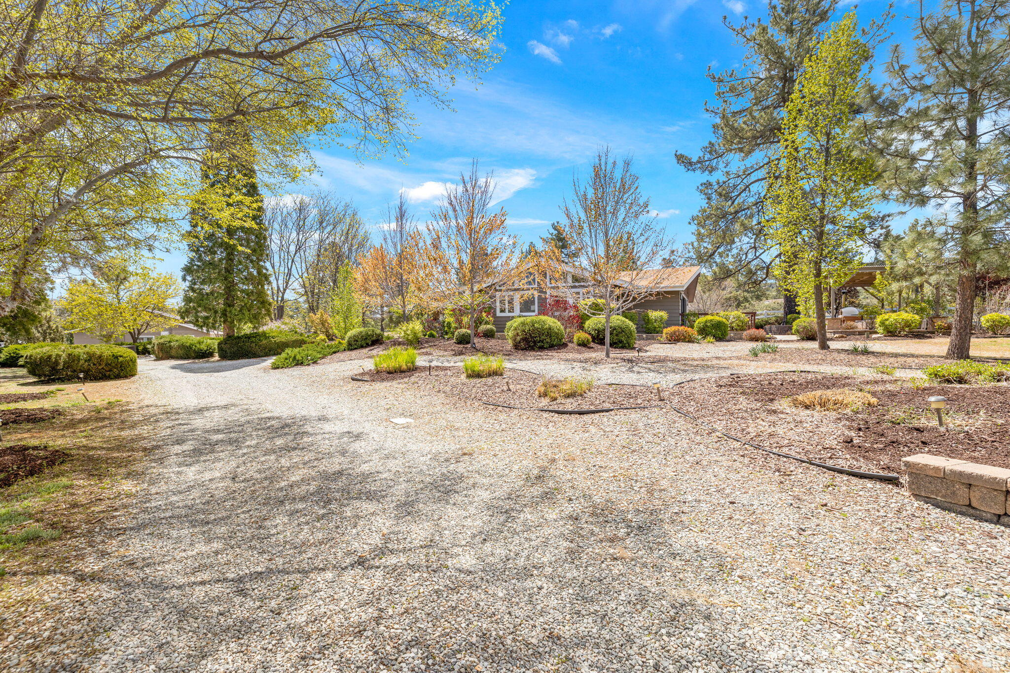 60206 Devils Ladder Road Mountain Center, CA 92561 - Photo 5 of 115 16-web-or-mls-2H8A8406