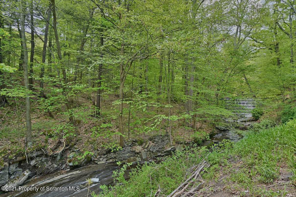 217 Shady Lane Road Clarks Summit, PA 18411 - Photo 54 of 64 Gallery Image 54
