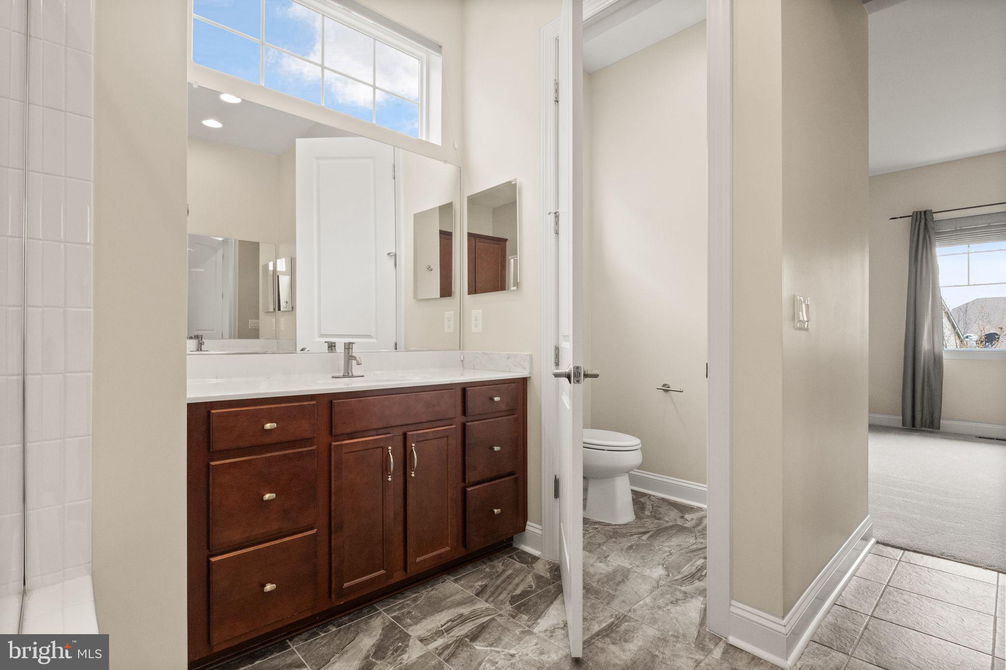 103 Cloak Lane White Post, VA 22663 - Photo 51 of 98 a bathroom with a toilet a sink and a mirror