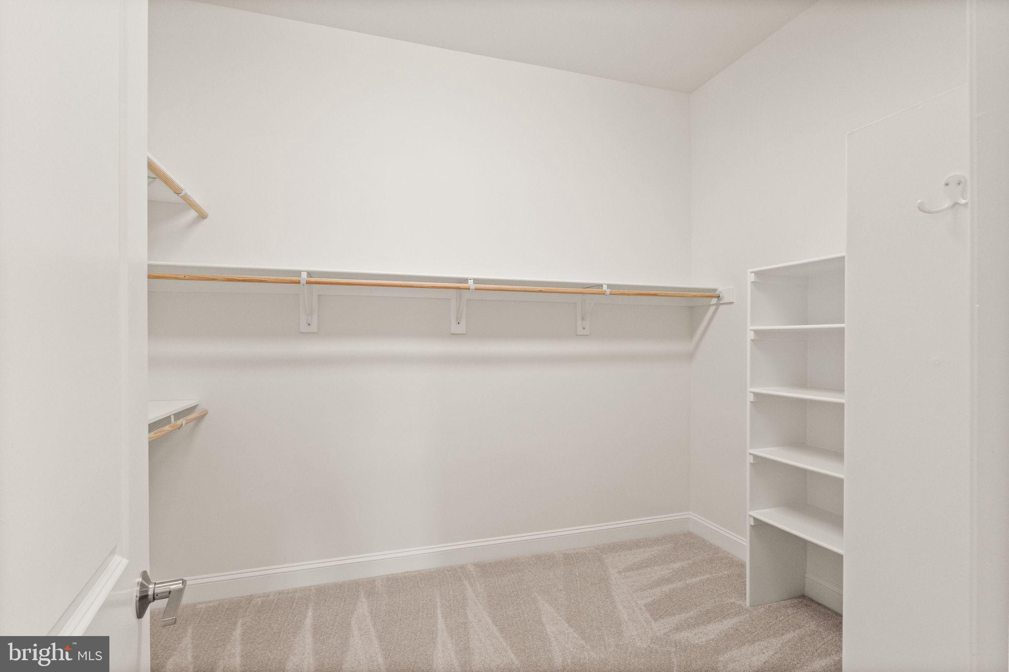 103 Cloak Lane White Post, VA 22663 - Photo 52 of 98 a view of walk in closet with empty racks