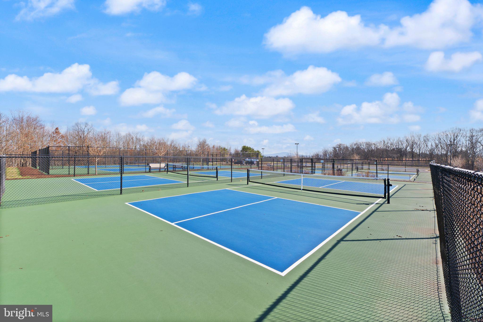 103 Cloak Lane White Post, VA 22663 - Photo 83 of 98