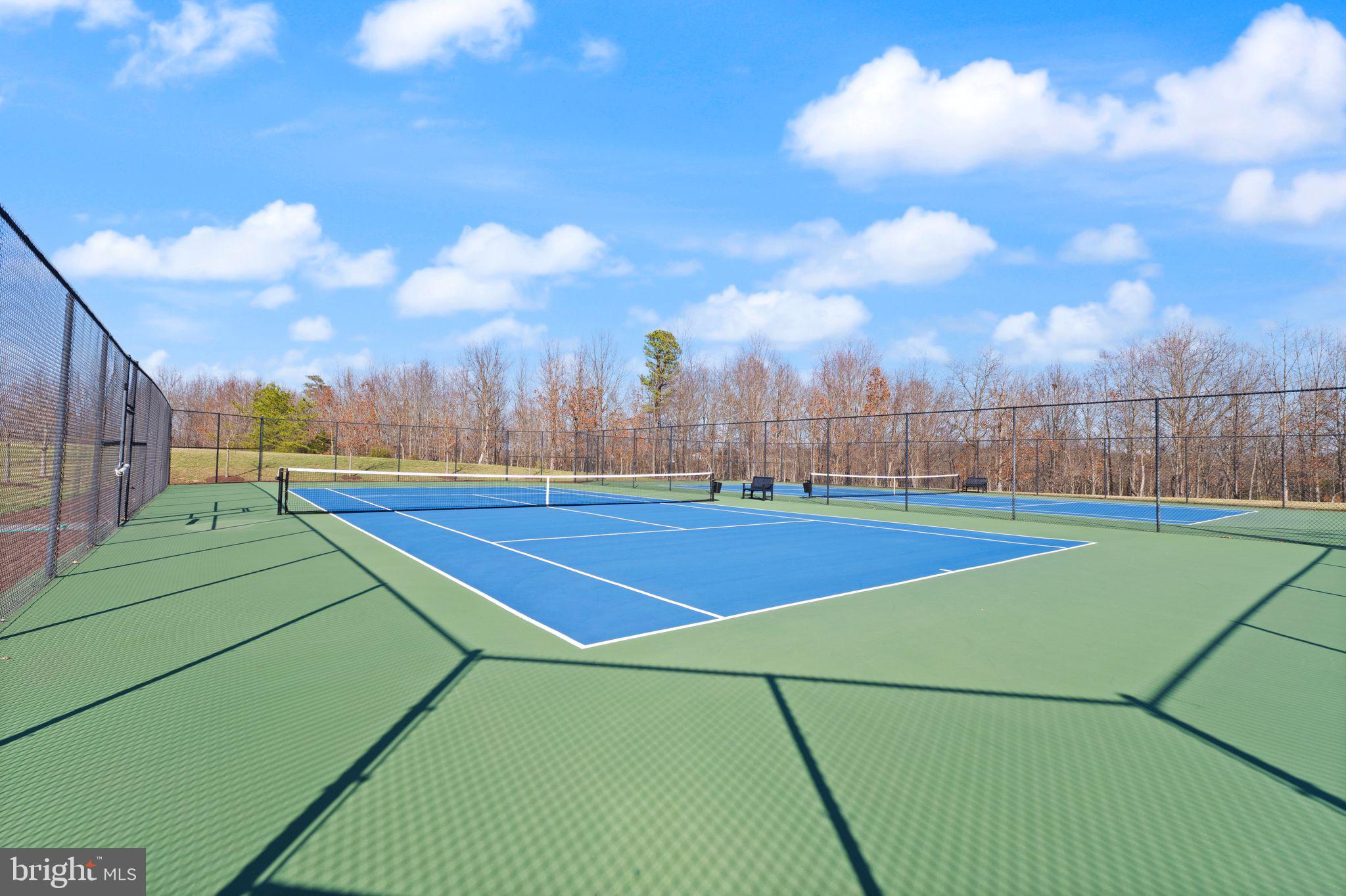 103 Cloak Lane White Post, VA 22663 - Photo 85 of 98