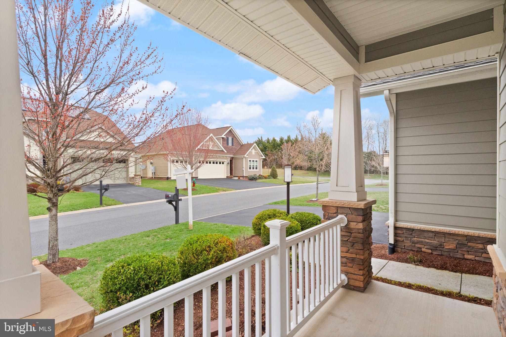 103 Cloak Lane White Post, VA 22663 - Photo 10 of 98