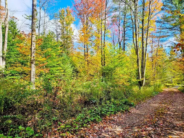 $45,000 | 0 Oberland Valley Road, Montgomery Center, VT 05471