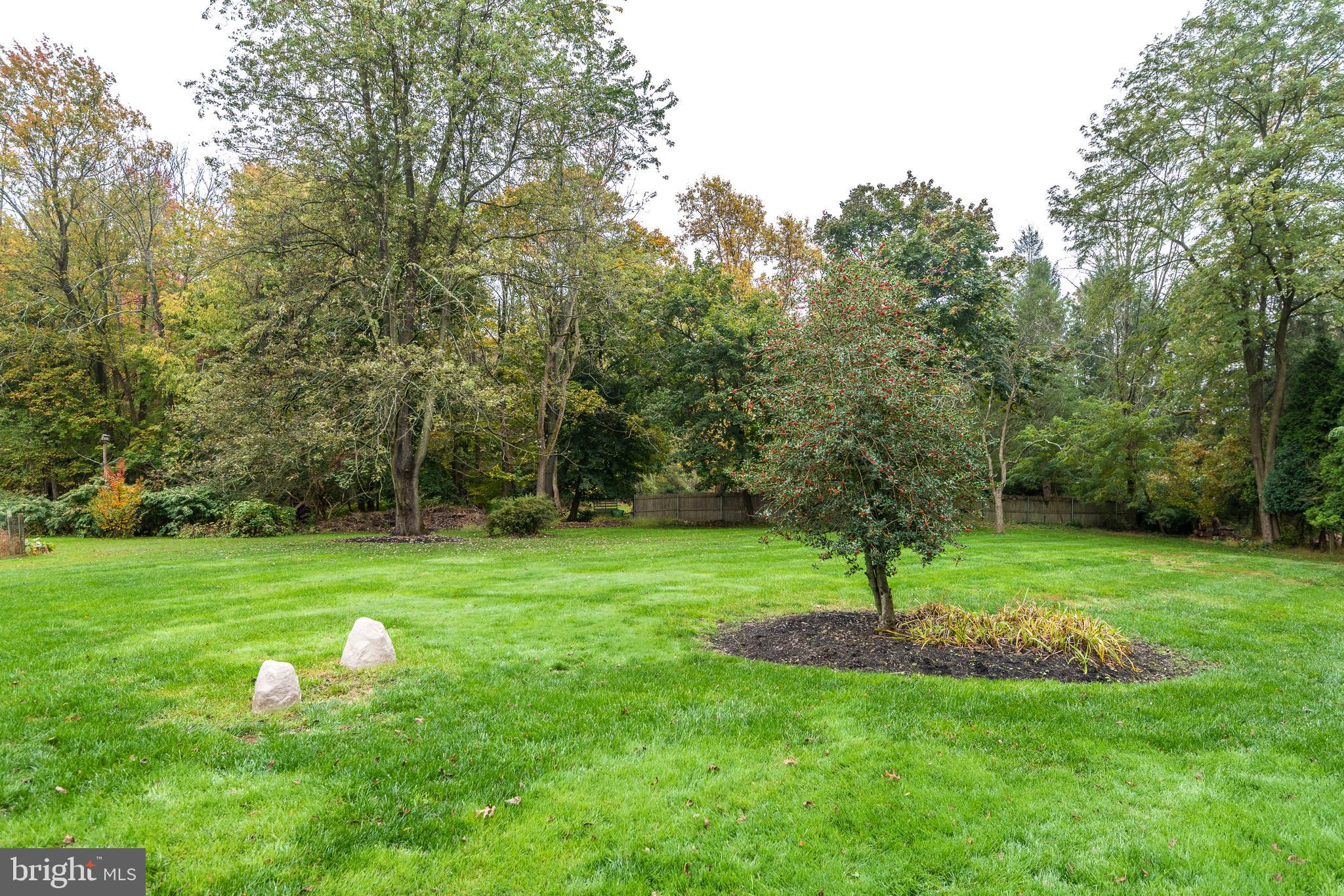 3264 Durham Road Doylestown, PA 18902 - Photo 34 of 37 View of yard