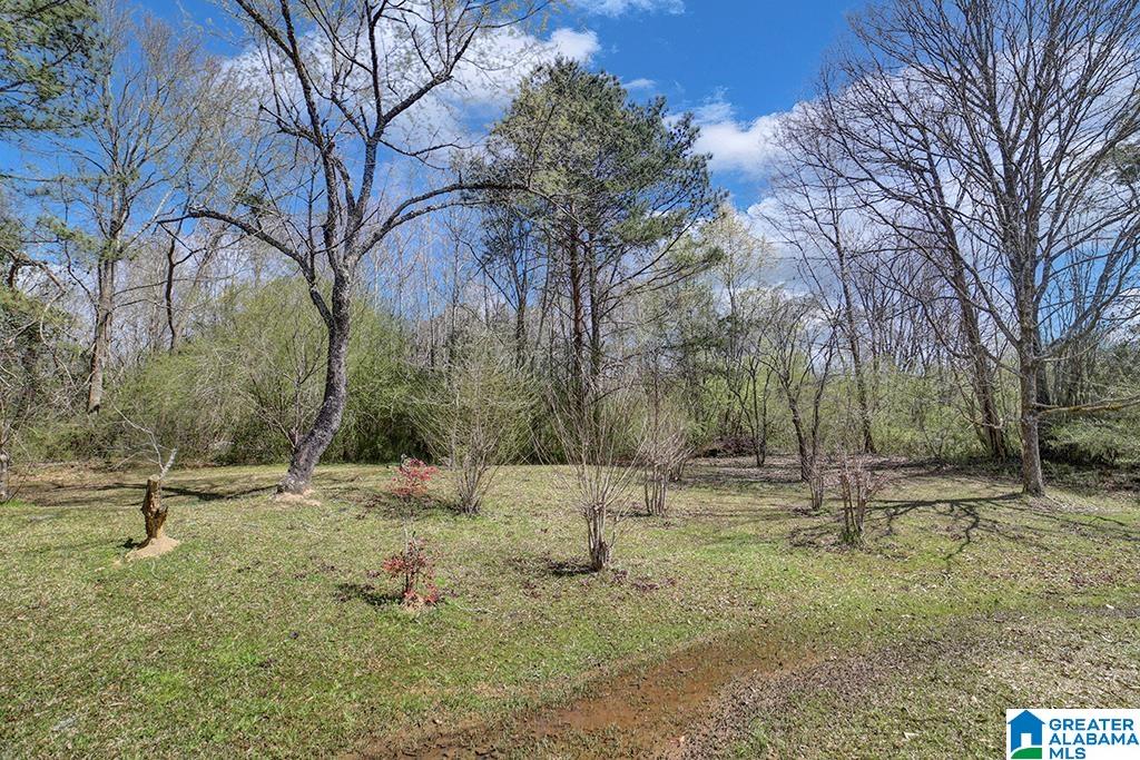6575 Warrior River Road Bessemer, AL 35023 - Photo 20 of 23