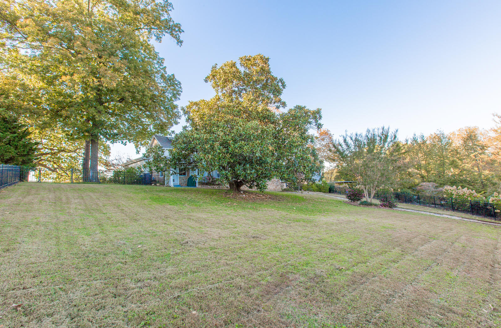 72 North Crest Road Chattanooga, TN 37404 - Photo 43 of 53 Yard