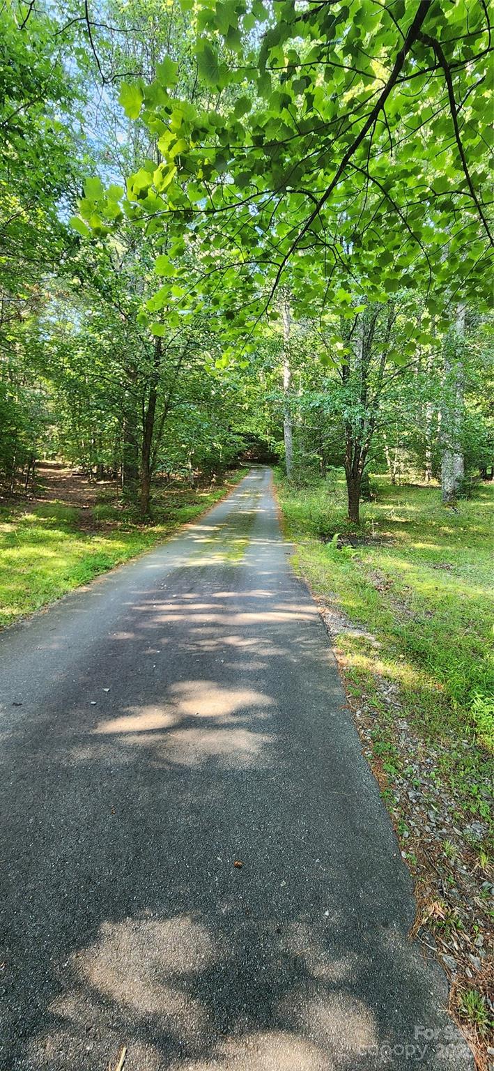 2767 Tanasee Gap Road Balsam Grove, NC 28708 - Photo 5 of 22 Gallery Image 5