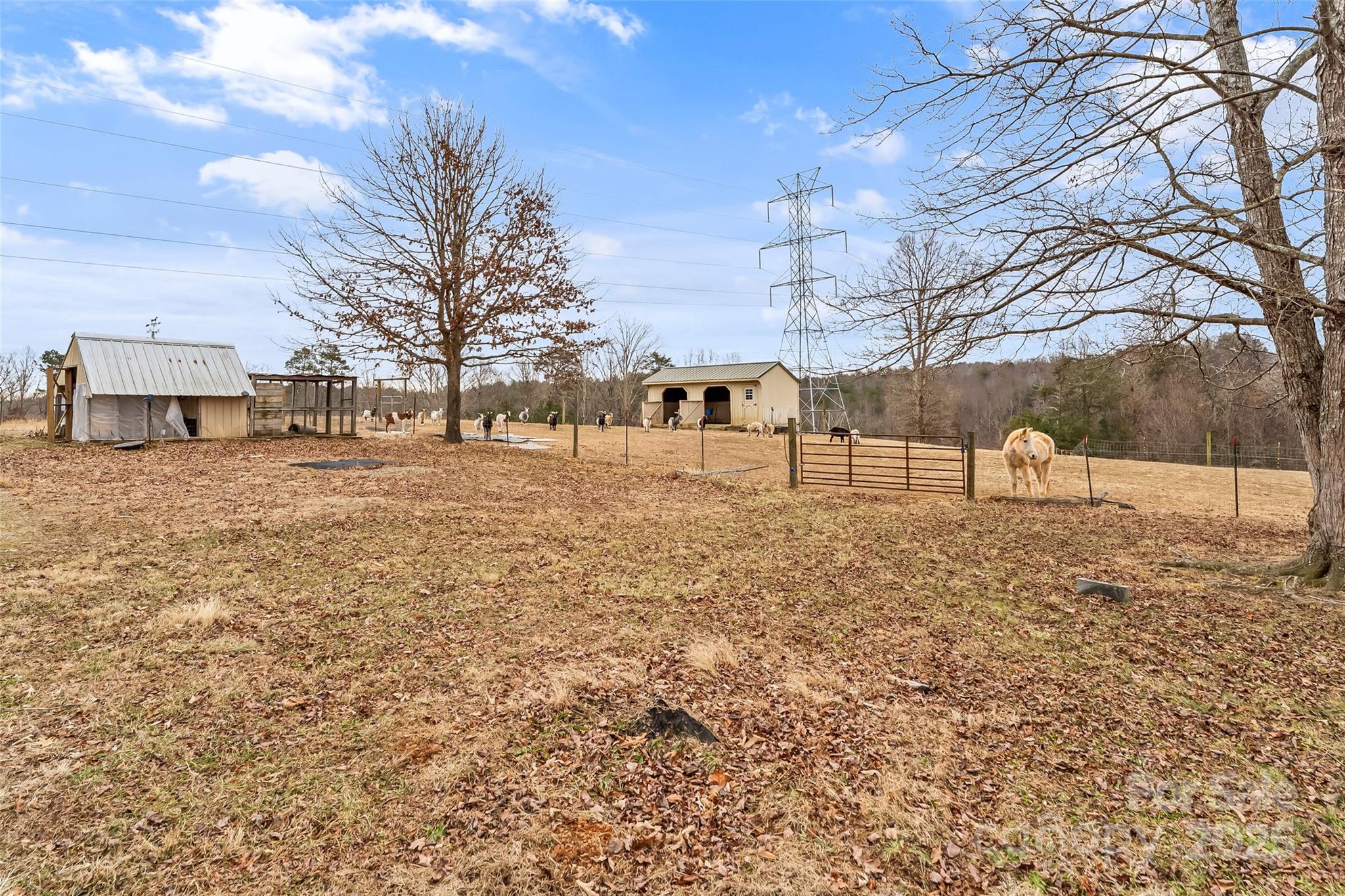 499 Indian Hill Road Olin, NC 28660 - Photo 22 of 43