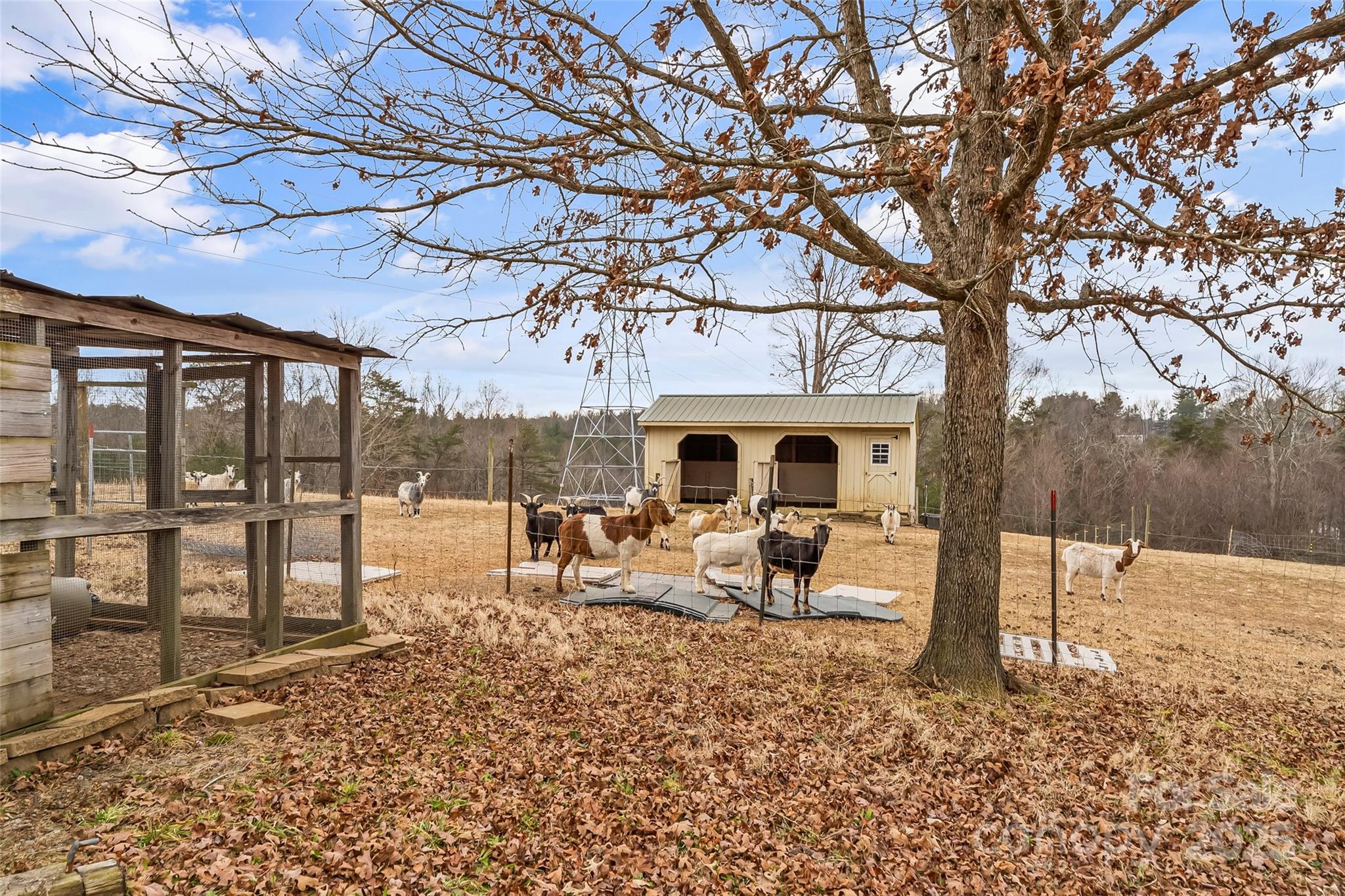 499 Indian Hill Road Olin, NC 28660 - Photo 28 of 43