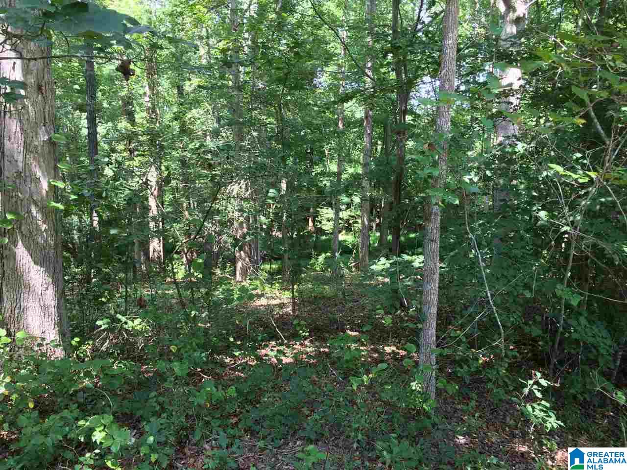 Spunky Hollow Road, Unit 18 7 Oneonta, AL 35121 - Photo 34 of 46