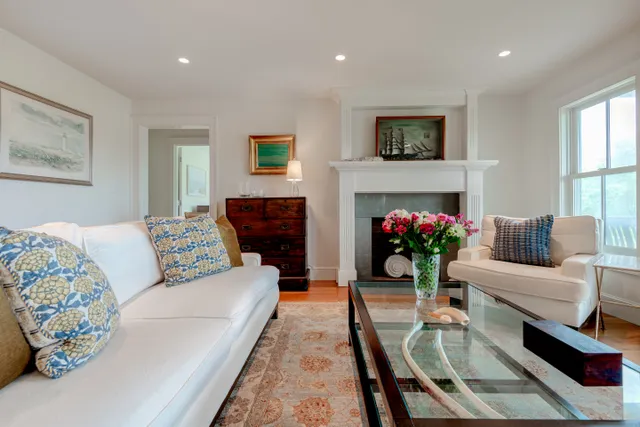 a living room with furniture potted plant and a fireplace