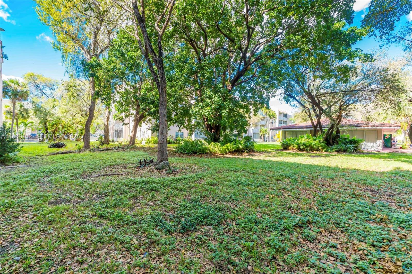 8501 Northwest 8th Street, Unit 110 Miami, FL 33126 - Photo 19 of 21 a view of a trees with a big yard