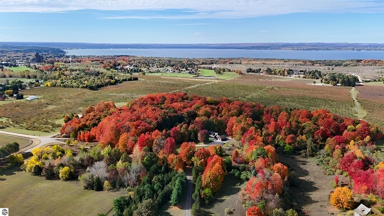 7277 Lautner Road Williamsburg, MI 49690 - Photo 6 of 45 Gallery Image 6
