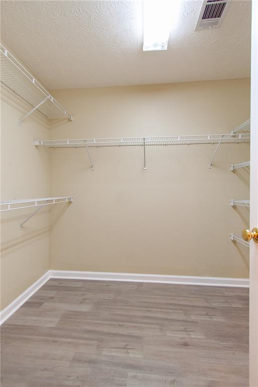 188 Lee Road Salem, AL 36874 - Photo 17 of 50 Primary Walk-in Closet