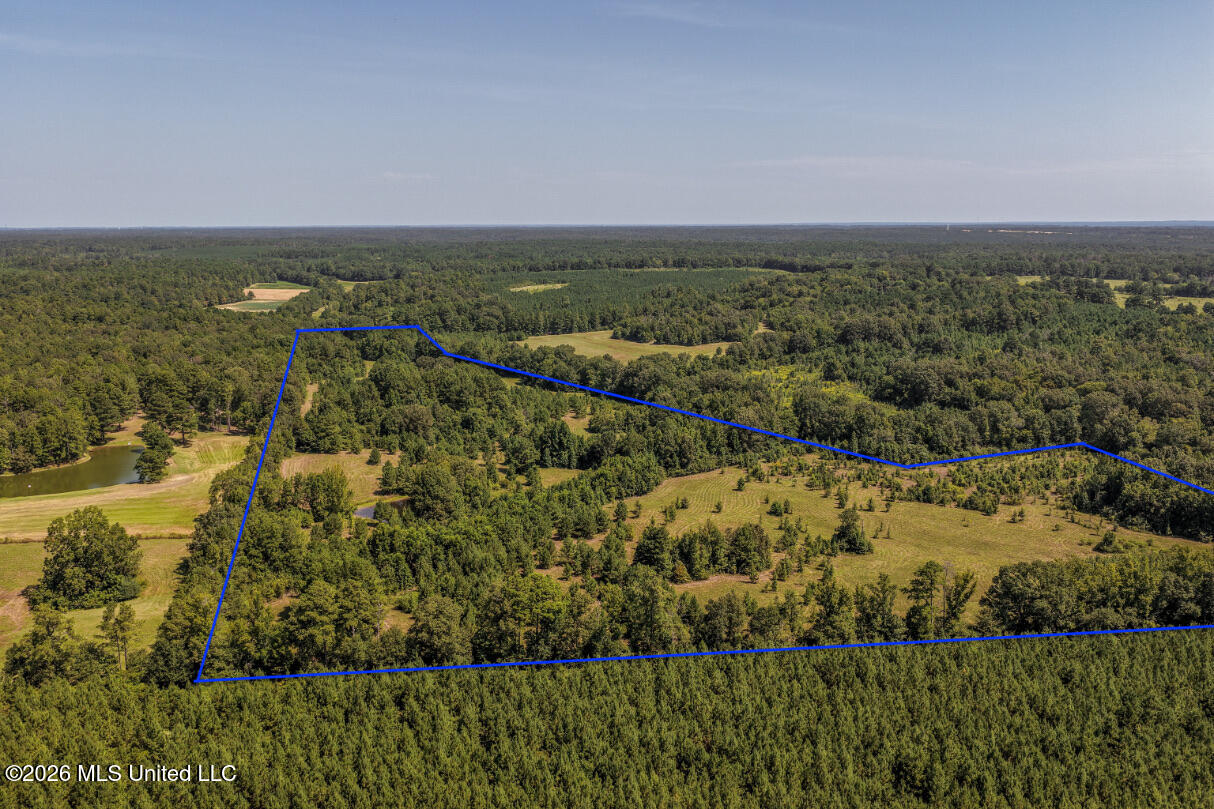 5056 Bethesda Road Crystal Springs, MS 39059 - Photo 12 of 48 DJI_20260818112103_0706_D