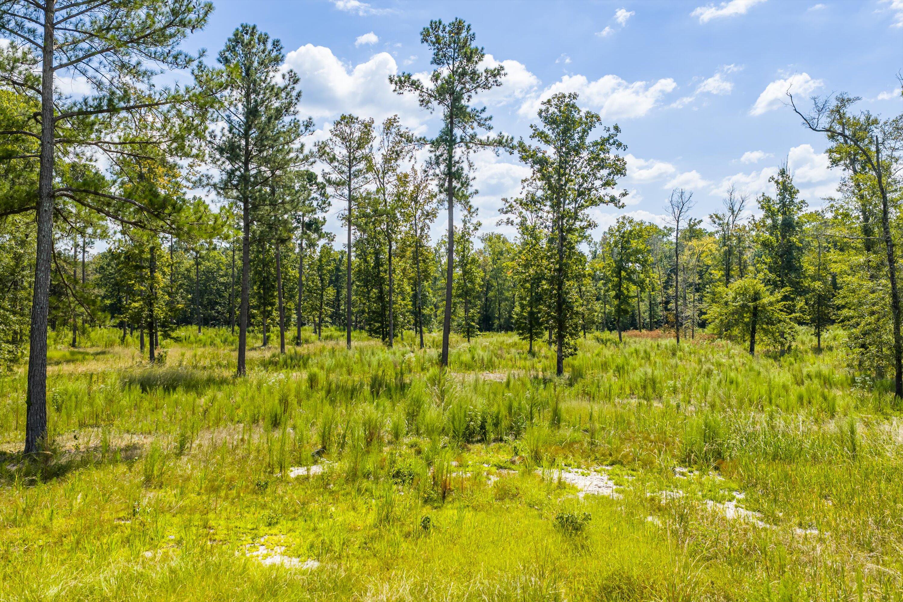 425-430 Shagbark Way Harlem, GA 30814 - Photo 4 of 20 03-DJI_20250915132429_0084_D-HDR