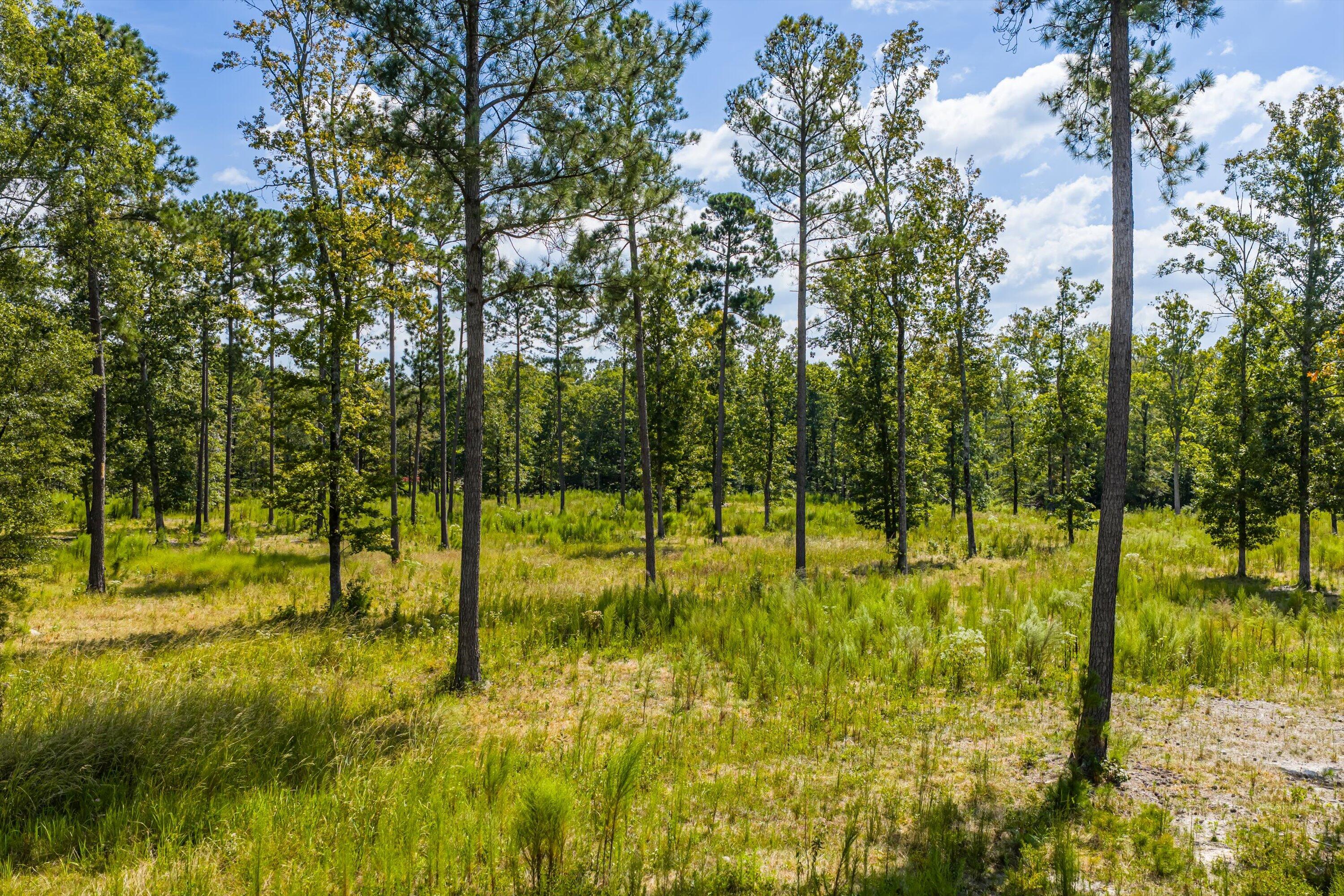 425-430 Shagbark Way Harlem, GA 30814 - Photo 5 of 20 04-DJI_20250915132440_0087_D-HDR
