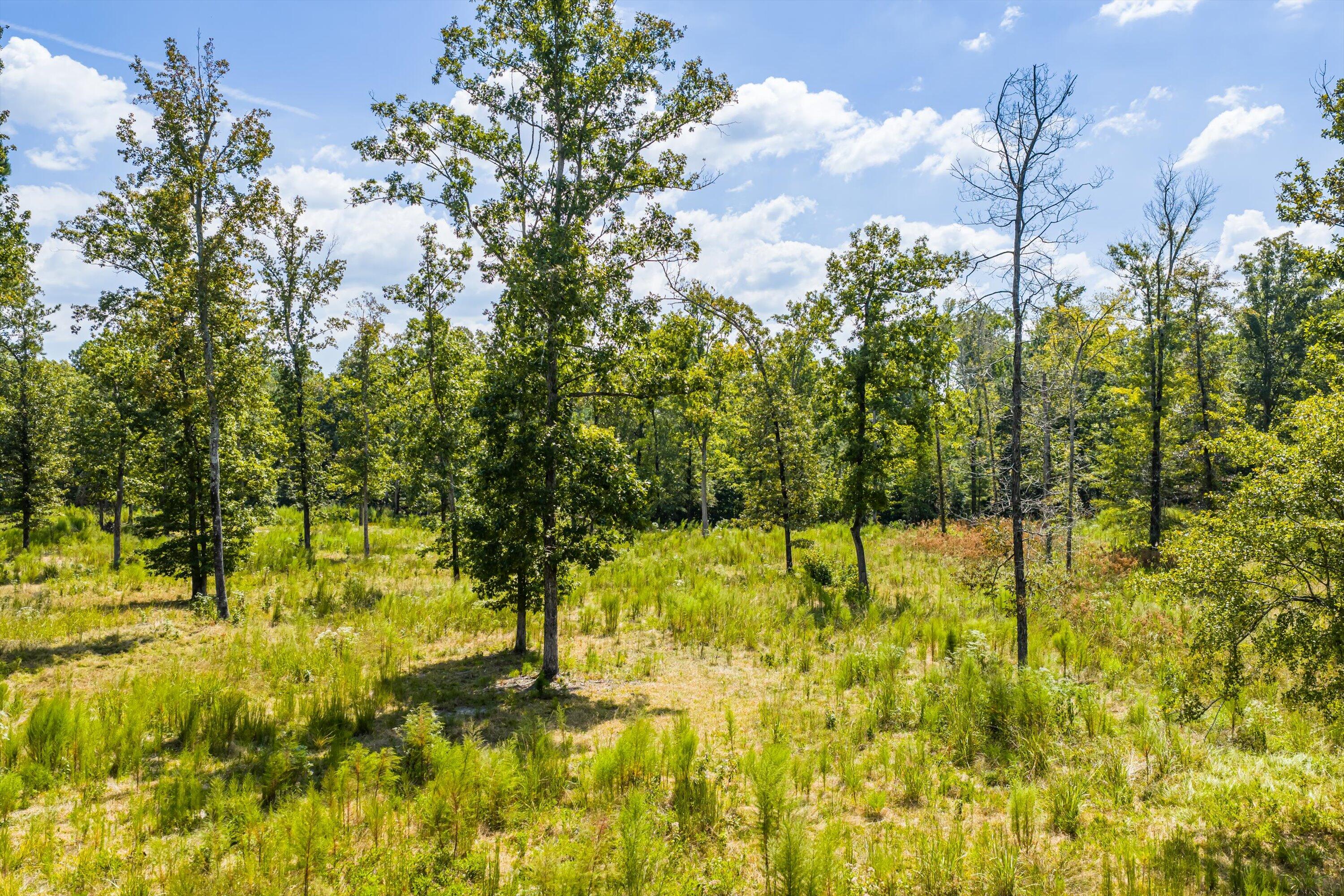 425-430 Shagbark Way Harlem, GA 30814 - Photo 6 of 20 05-DJI_20250915132453_0090_D-HDR
