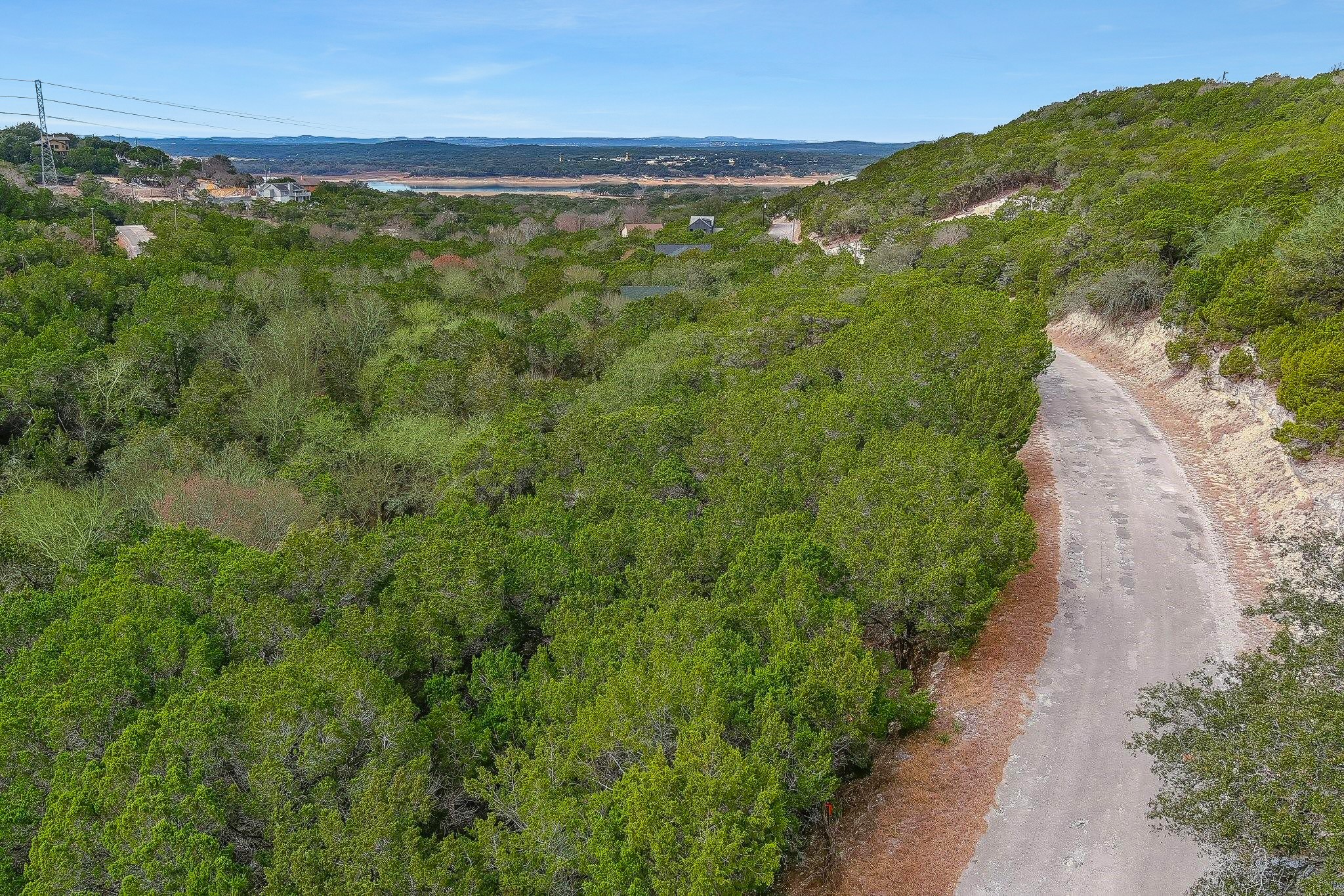 20804 Post Oak Drive Leander, TX 78645 - Photo 2 of 9 a view of a lush green forest with houses