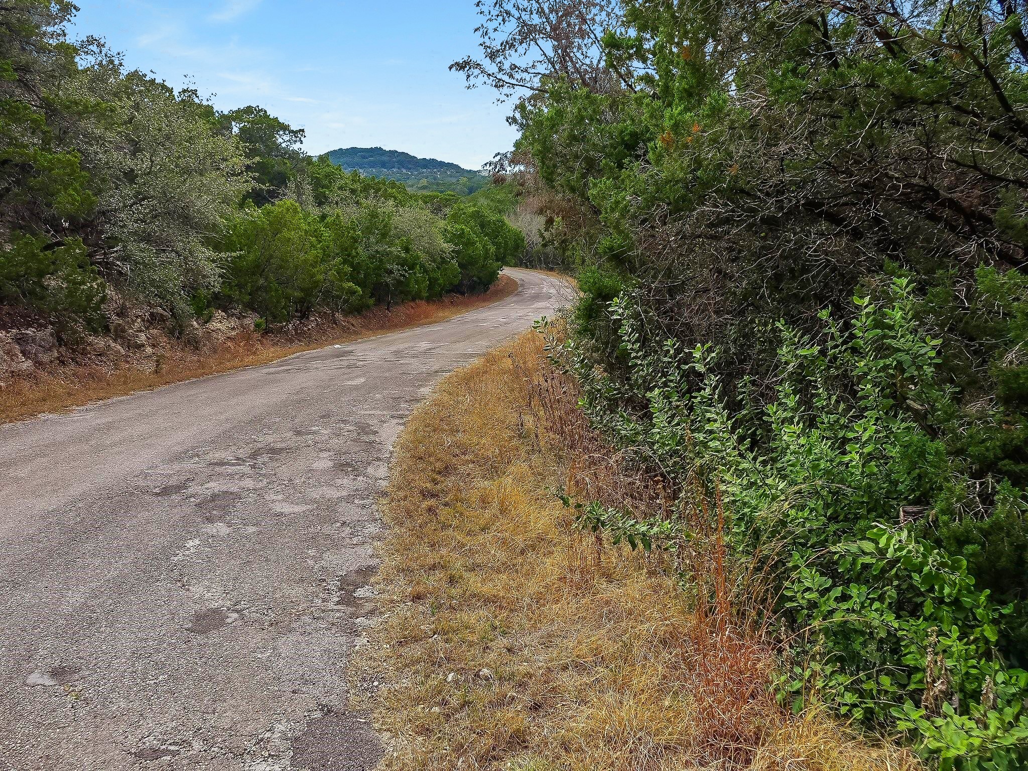 20804 Post Oak Drive Leander, TX 78645 - Photo 3 of 9 a view of a field with trees in the background