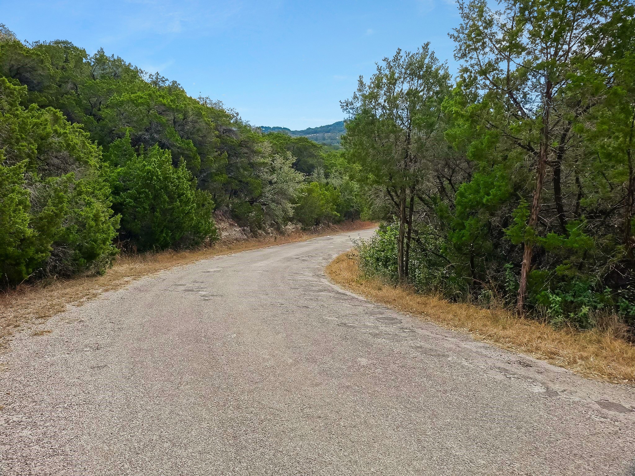 20804 Post Oak Drive Leander, TX 78645 - Photo 4 of 9 a view of a dirt road with trees in the background