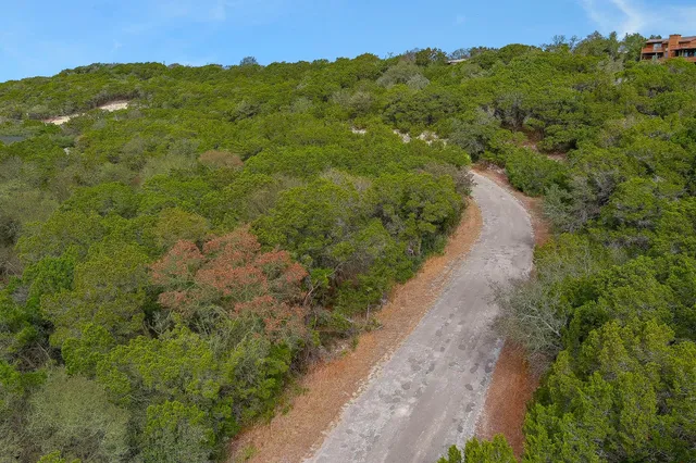 a view of a yard with a tree