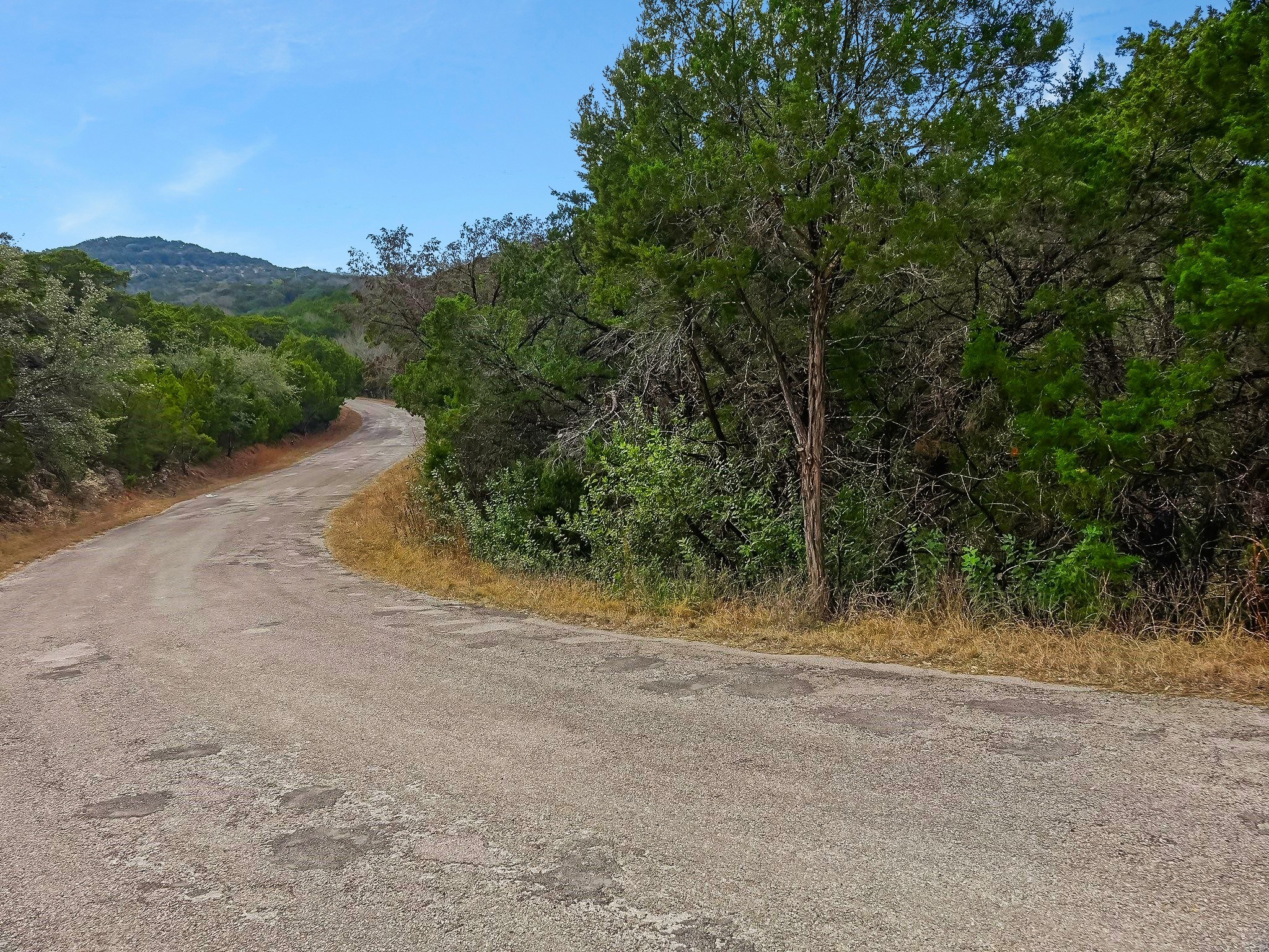 20804 Post Oak Drive Leander, TX 78645 - Photo 6 of 9 a view of a yard with a tree