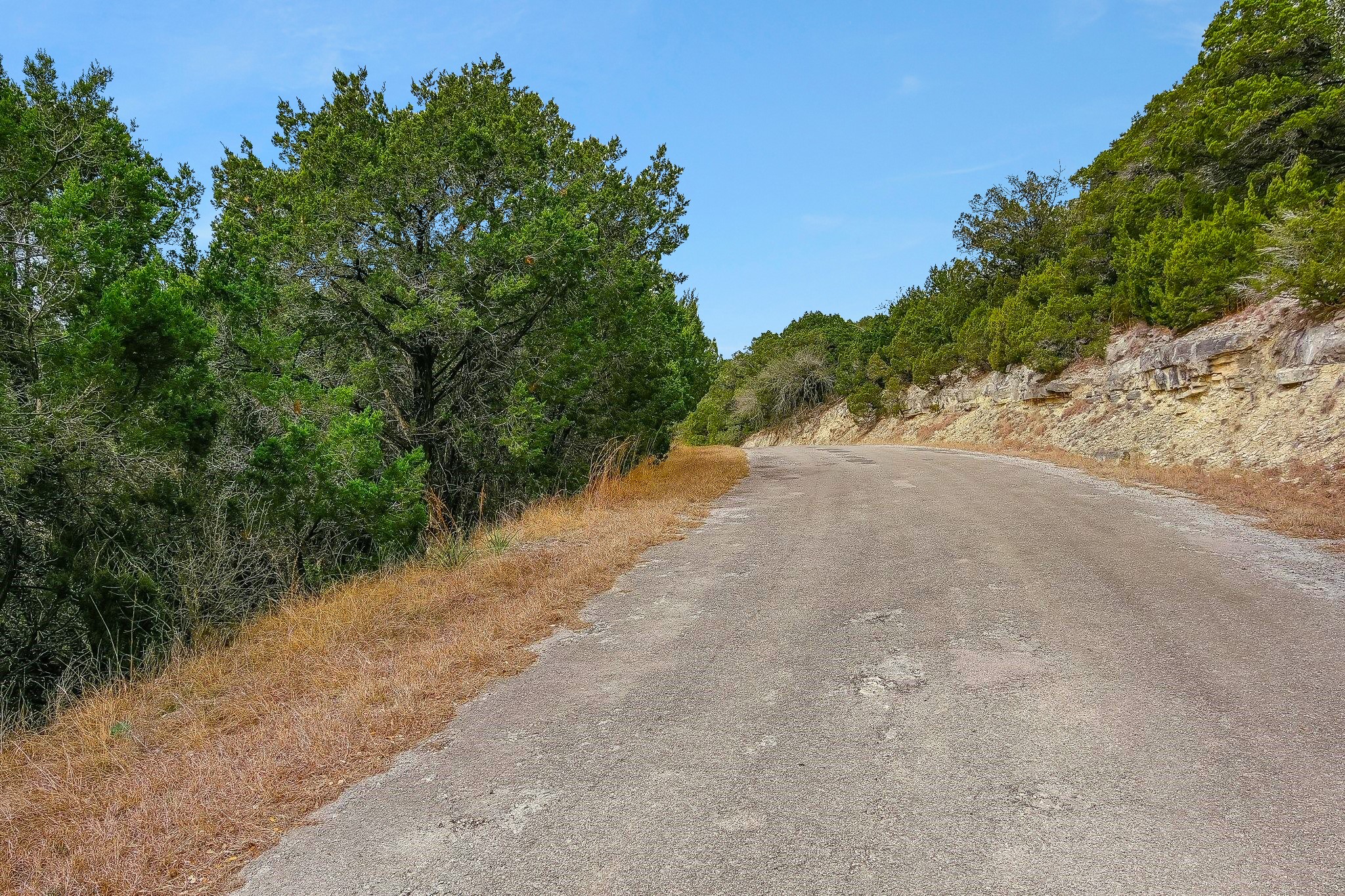 20804 Post Oak Drive Leander, TX 78645 - Photo 8 of 9 a view of a dirt road with trees in the background