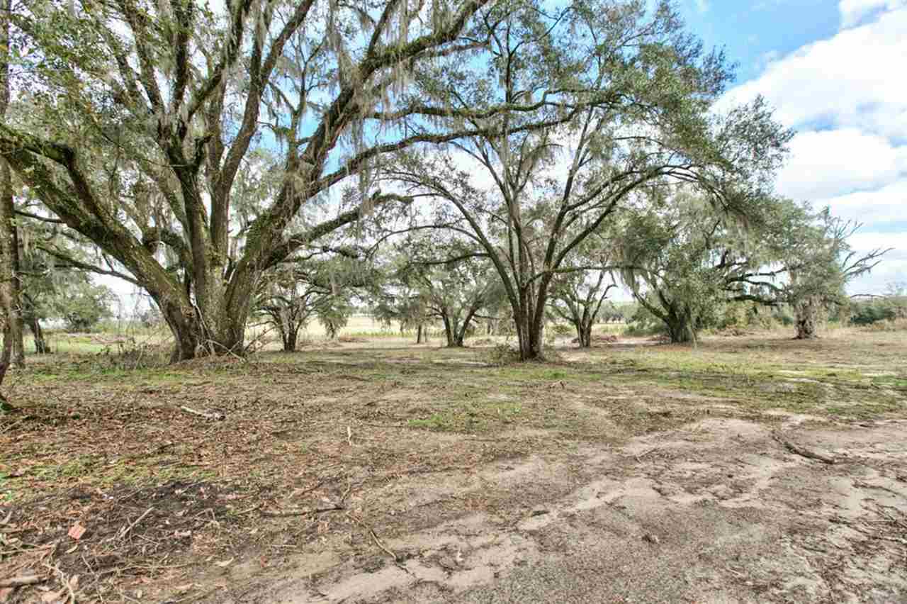 3912 North Salt Road Monticello, FL 32344 - Photo 15 of 25 Gallery Image 15