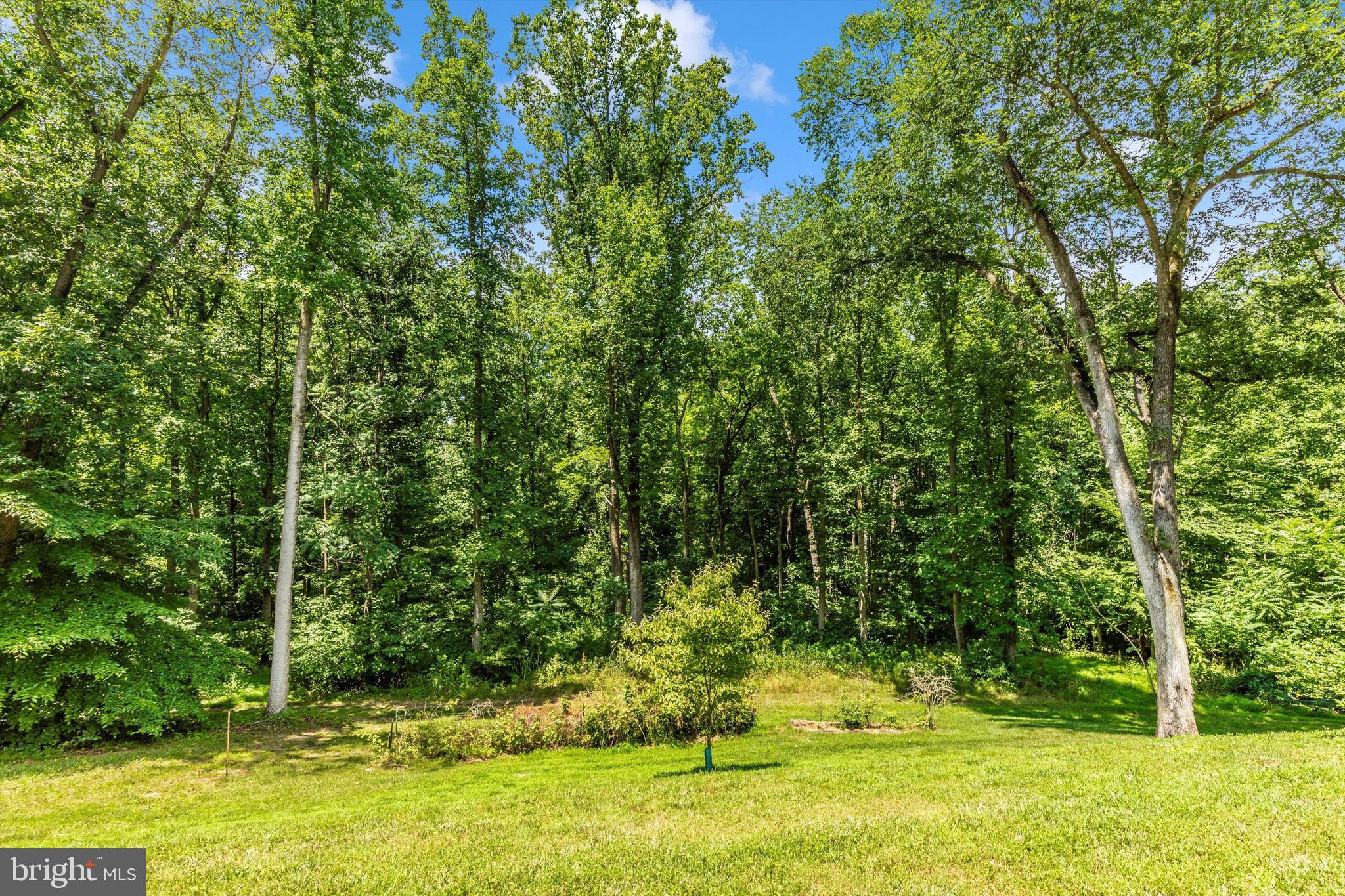 8089 Fingerboard Road Frederick, MD 21704 - Photo 49 of 70