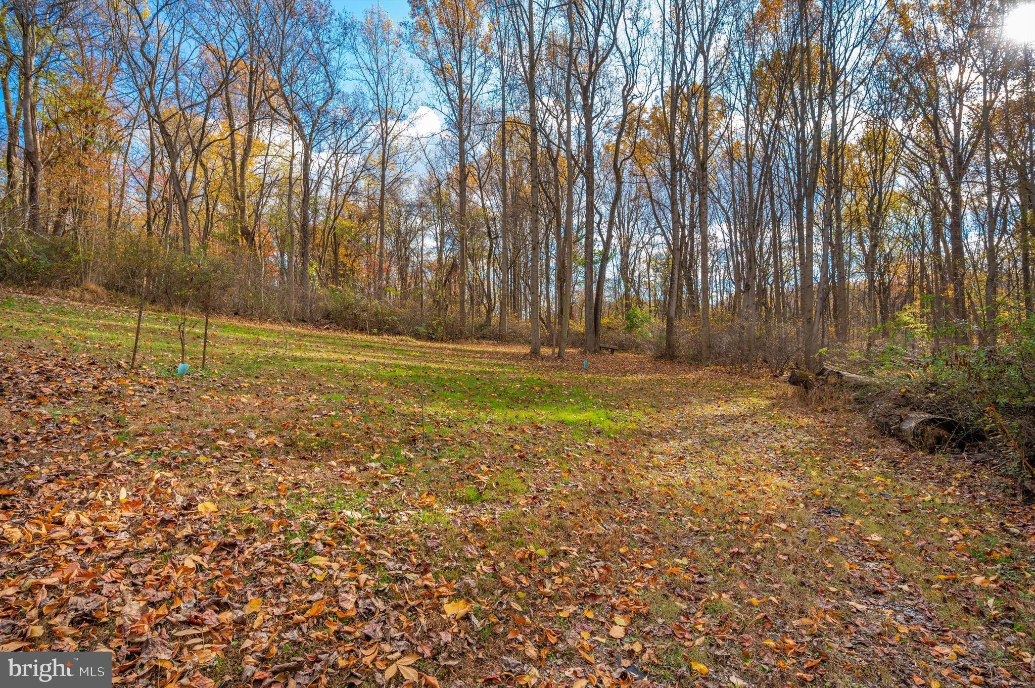 8089 Fingerboard Road Frederick, MD 21704 - Photo 65 of 70